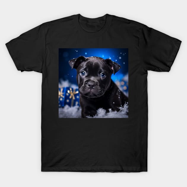 Black Pitty T-Shirt by Enchanted Reverie